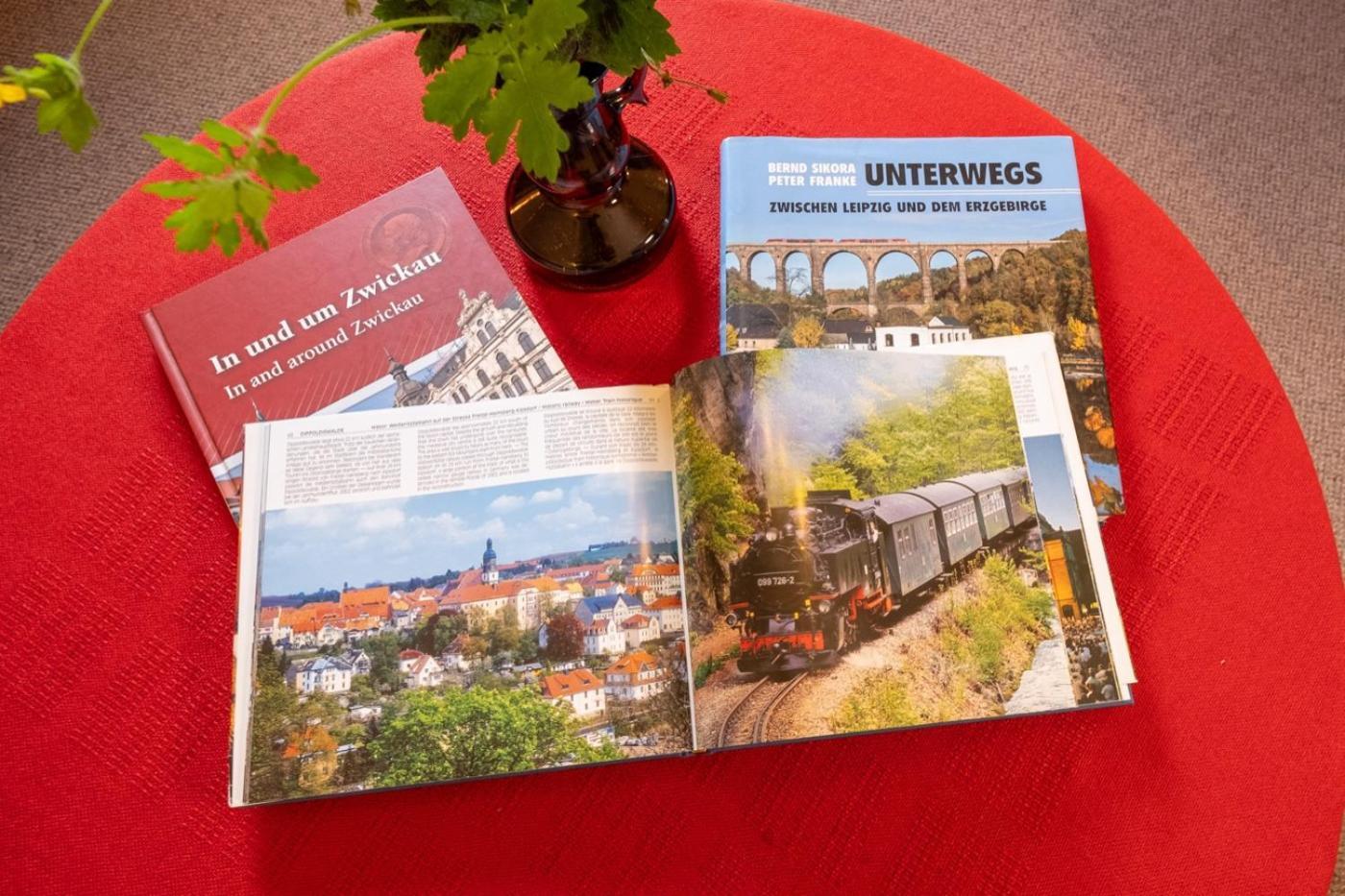 Gartentraum, Feuergrill, Kids-Spielwelt, 4Raeume Hartenstein  Eksteriør bilde